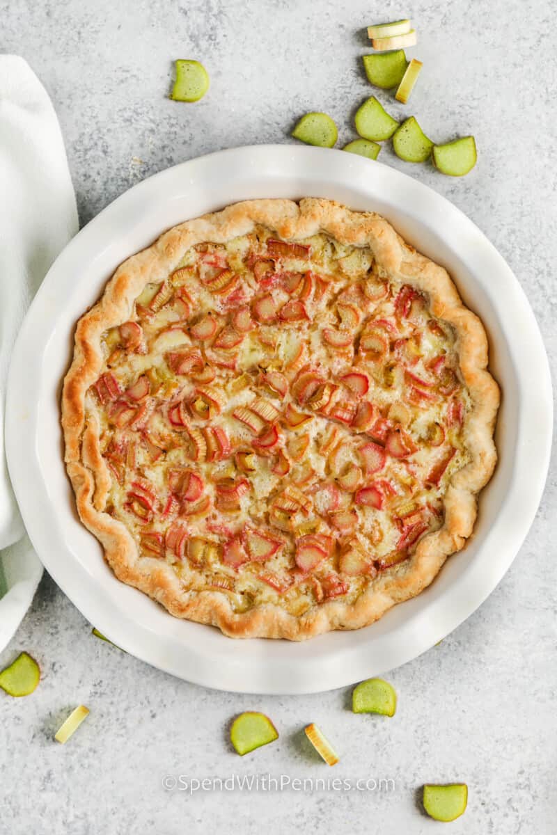 baked Rhubarb Custard Pie
