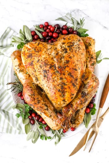 thanksgiving turkey on a plate
